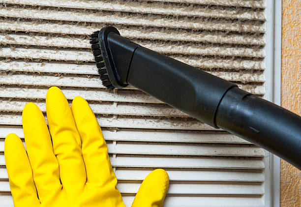 Best Air Filter Replacement Services in Calverton, NY